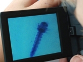 1660028c-05bc-42d5-9d76-46706024a396